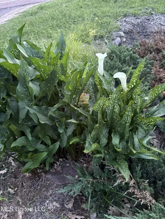 $185,000 | 1200 Highway 16, Yazoo City, MS 39194