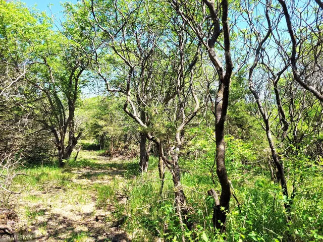 $185,000 | 44 South Haven, South Haven, MN 55382