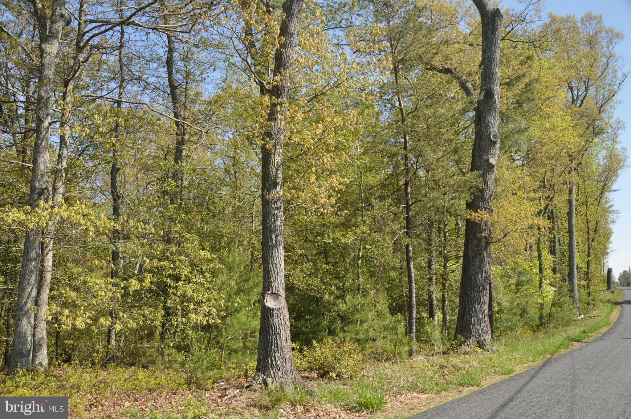 9590 Meredith Road Charlotte Hall, MD 20622 - Photo 23 of 30 View