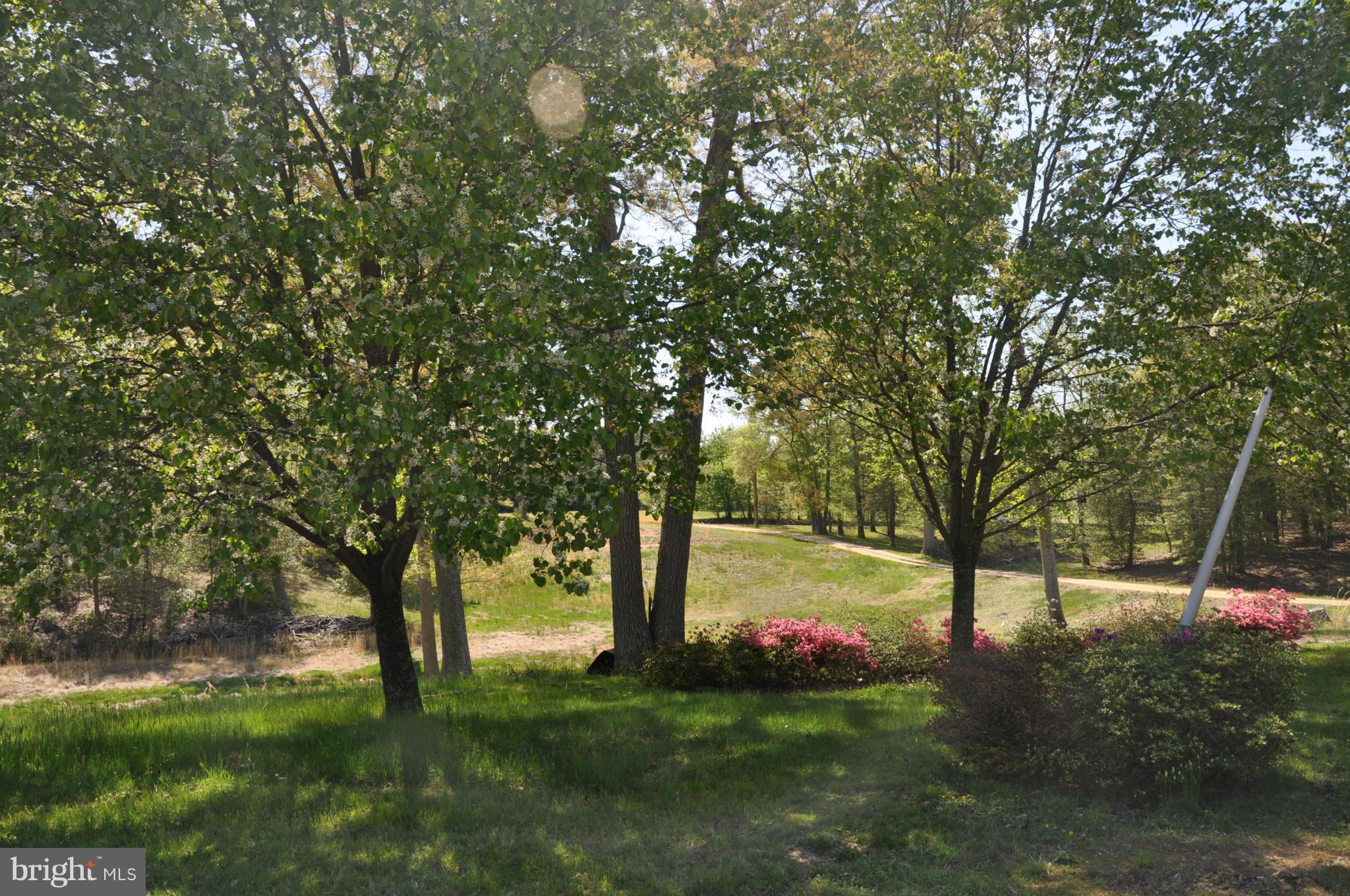 9590 Meredith Road Charlotte Hall, MD 20622 - Photo 5 of 30 View