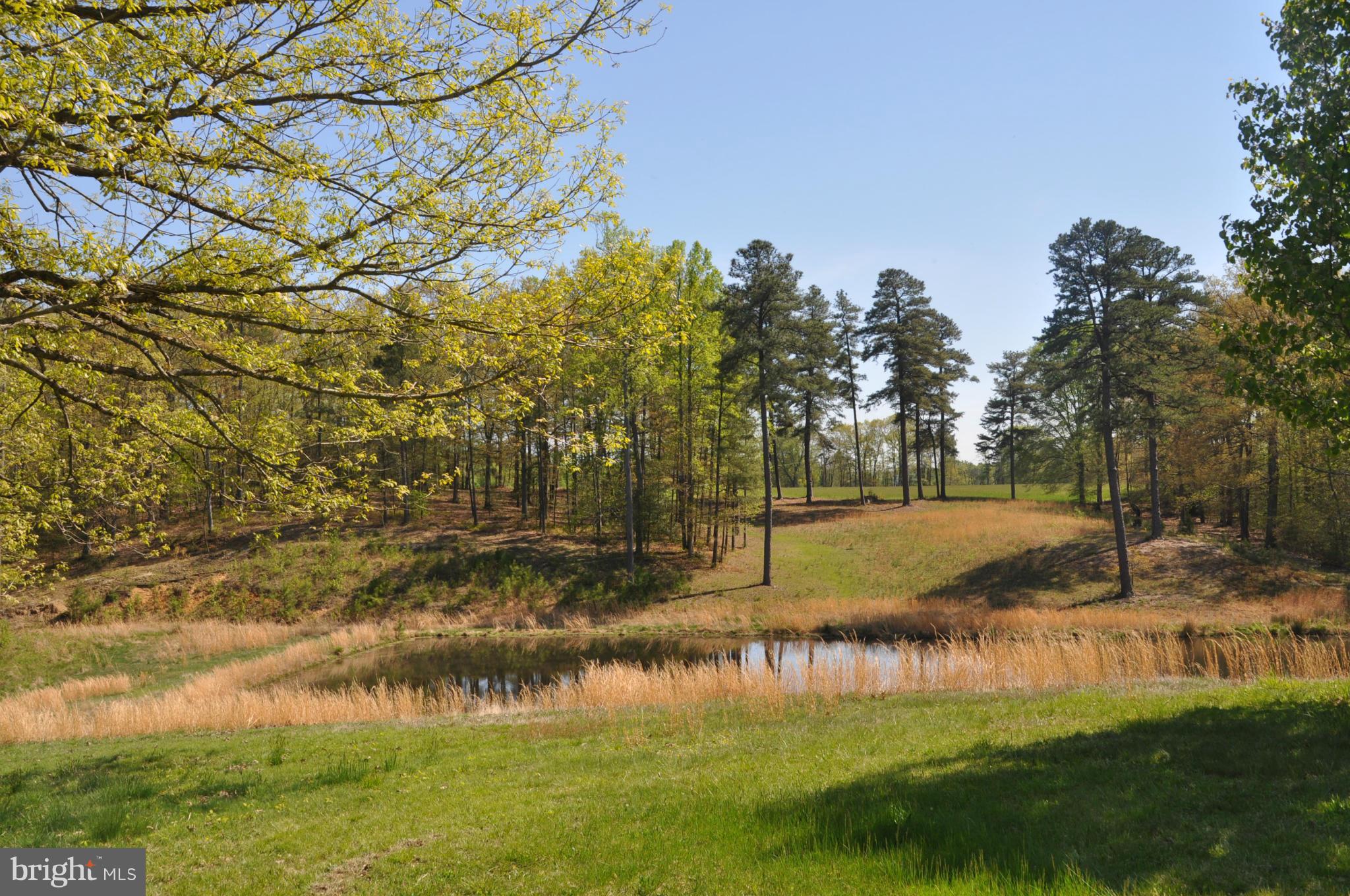 9590 Meredith Road Charlotte Hall, MD 20622 - Photo 8 of 30 View