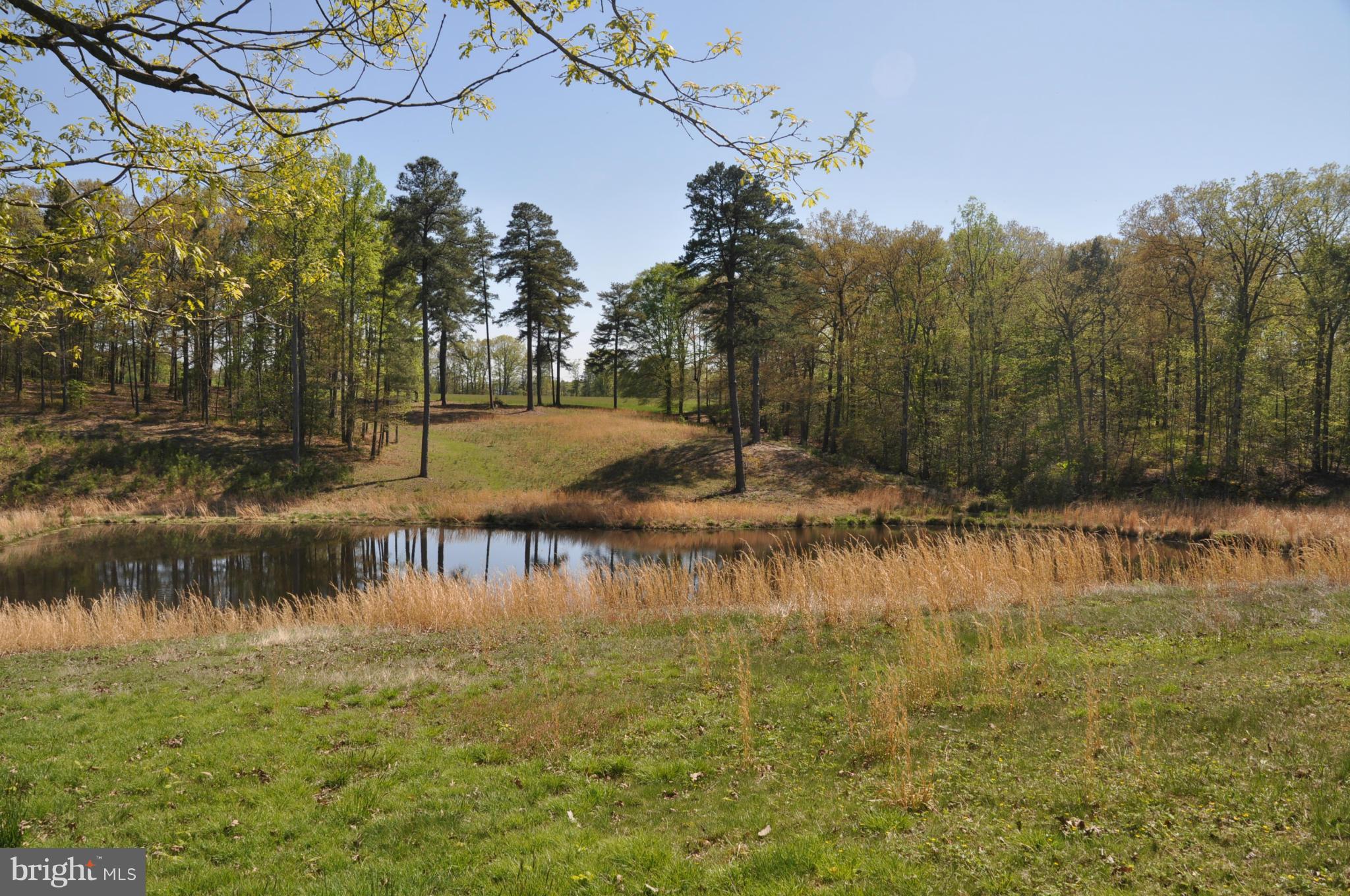 9590 Meredith Road Charlotte Hall, MD 20622 - Photo 9 of 30 View