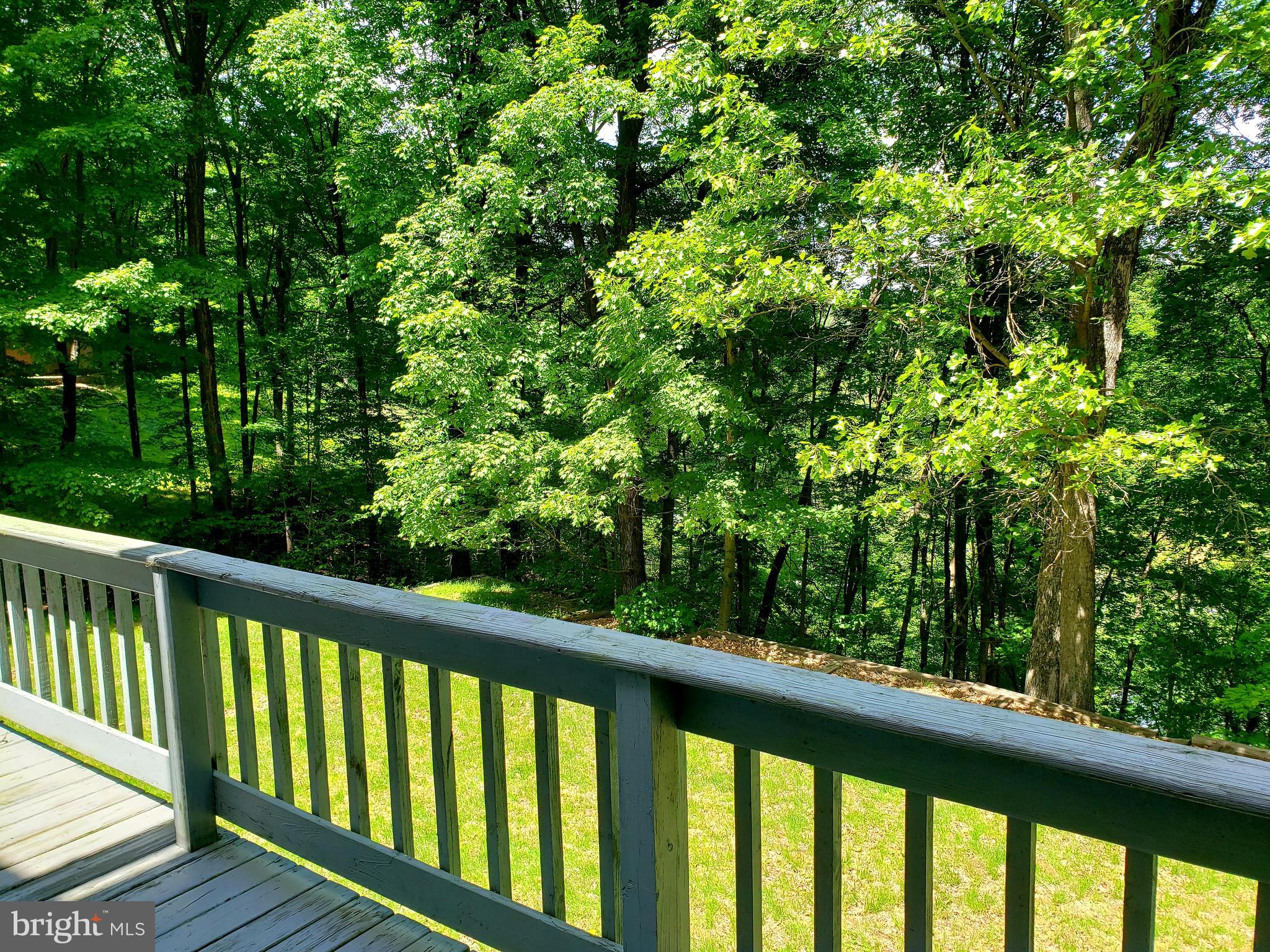 1311 Steamboat Run Road Shepherdstown, WV 25443 - Photo 12 of 28 Gallery Image 12