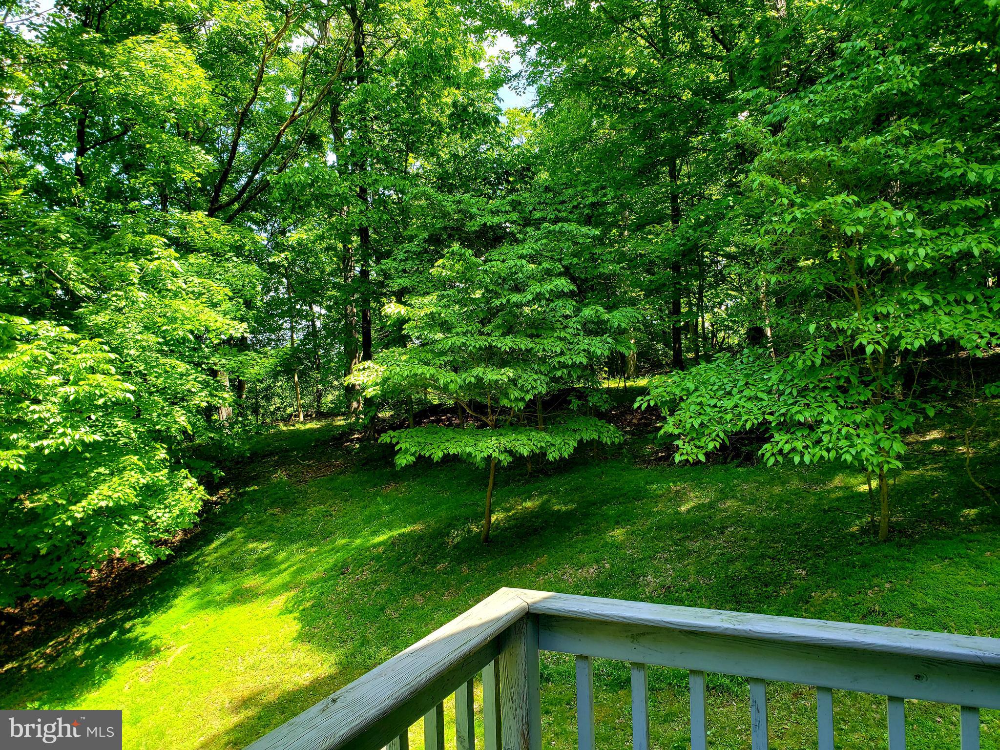 1311 Steamboat Run Road Shepherdstown, WV 25443 - Photo 13 of 28 Gallery Image 13