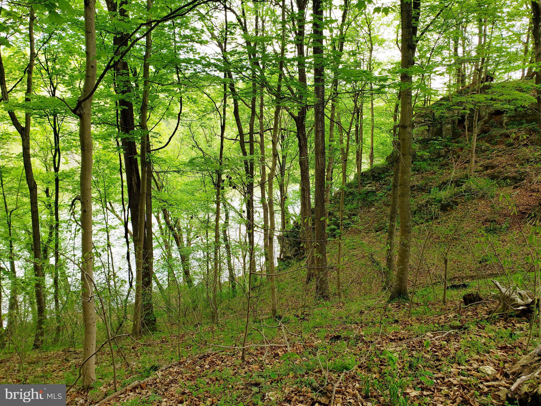 1311 Steamboat Run Road Shepherdstown, WV 25443 - Photo 14 of 28 Gallery Image 14