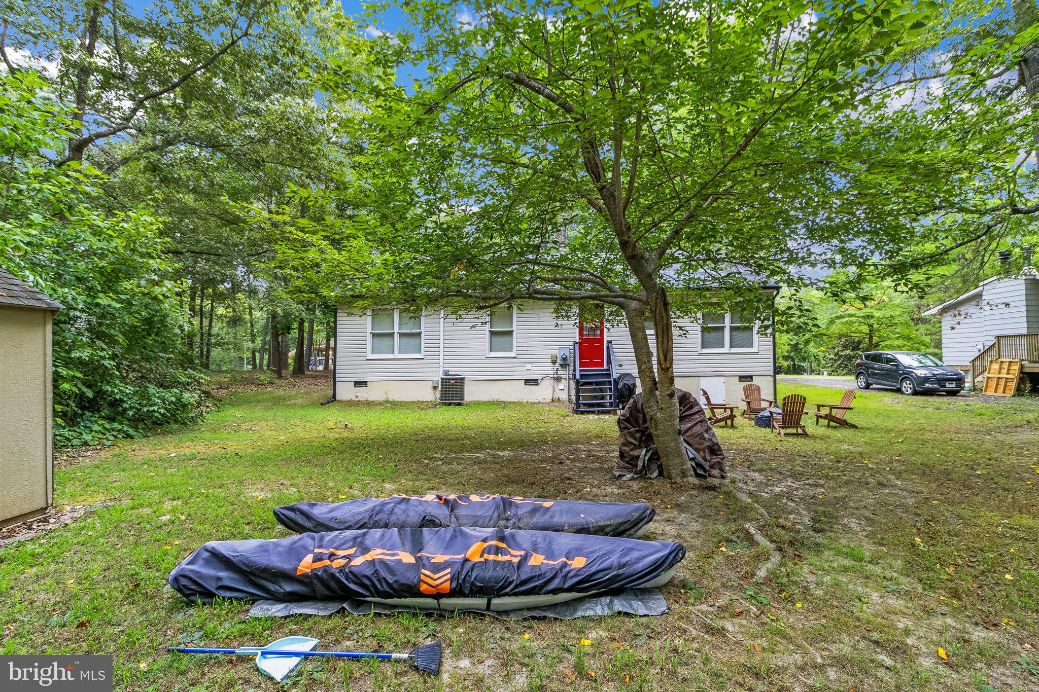 Back yard