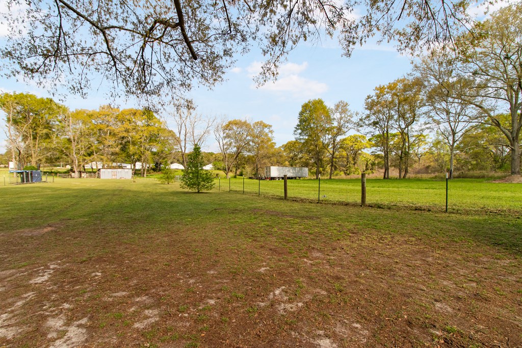 158 Brown Road Clio, AL 36017 - Photo 41 of 75