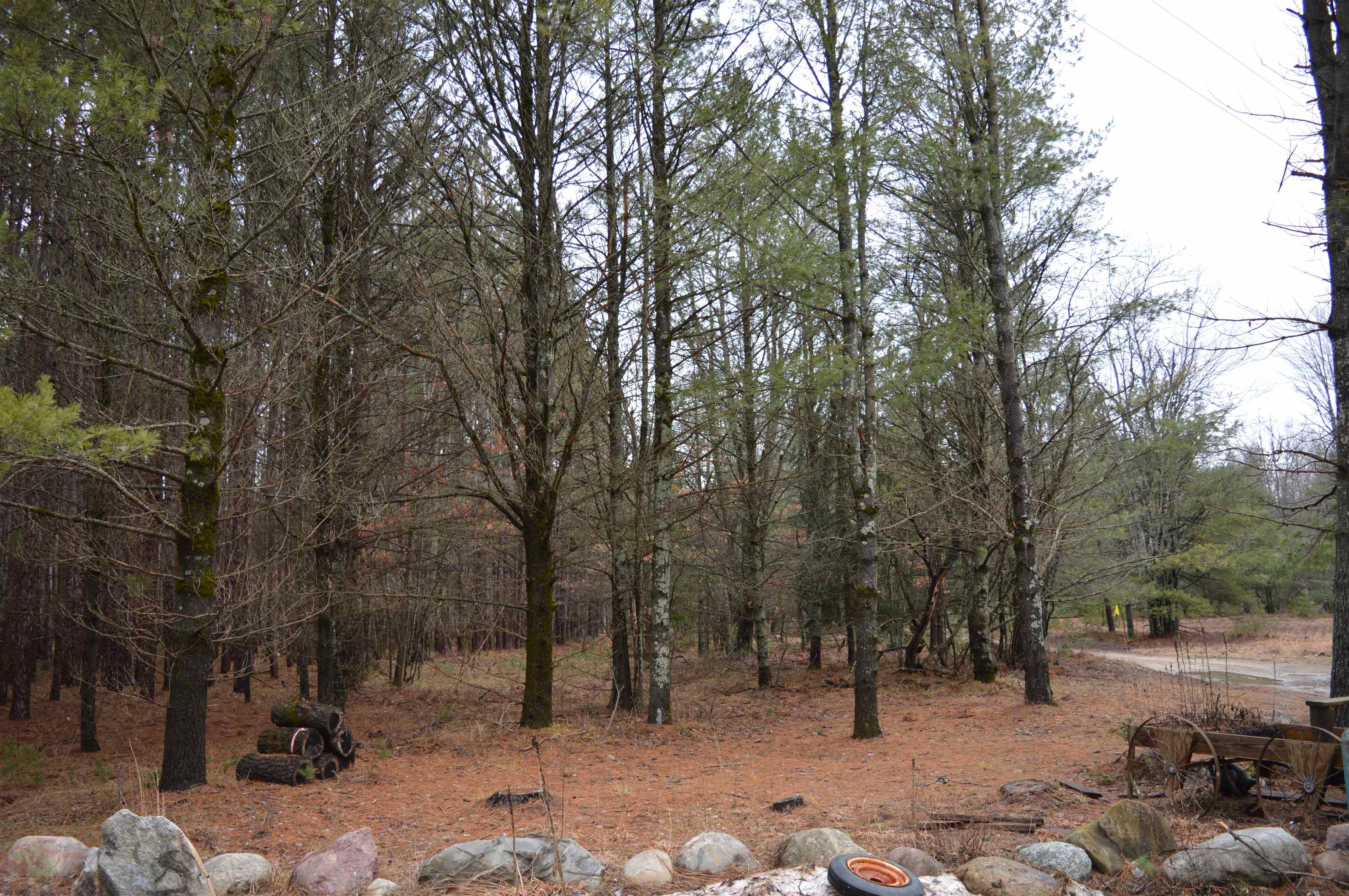 8766 Zubal Road Fife Lake, MI 49633 - Photo 15 of 30