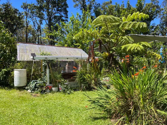a view of a backyard