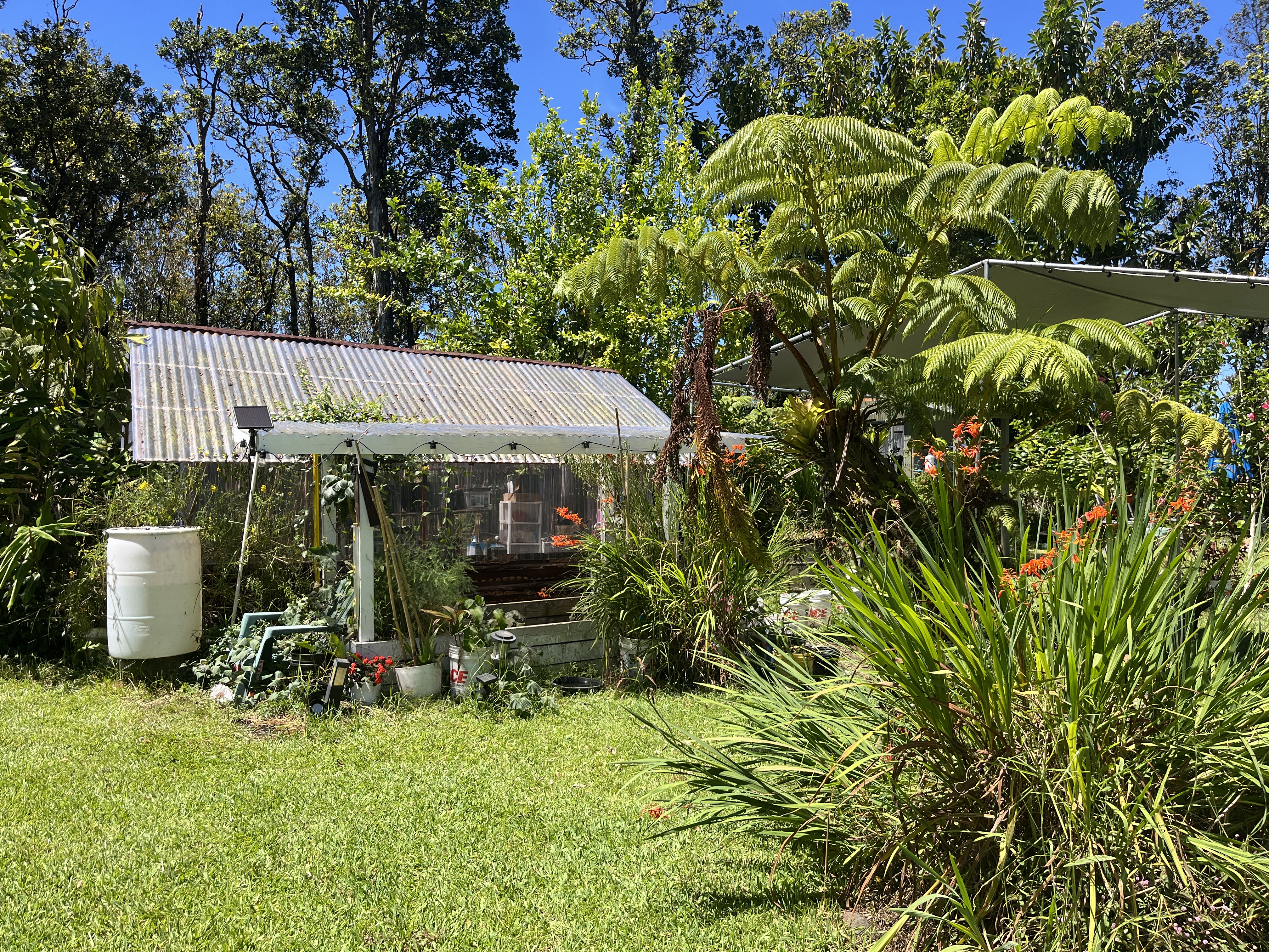 11-2729 Uakoko Road Mountain View, HI 96771 - Photo 14 of 26 a view of a backyard