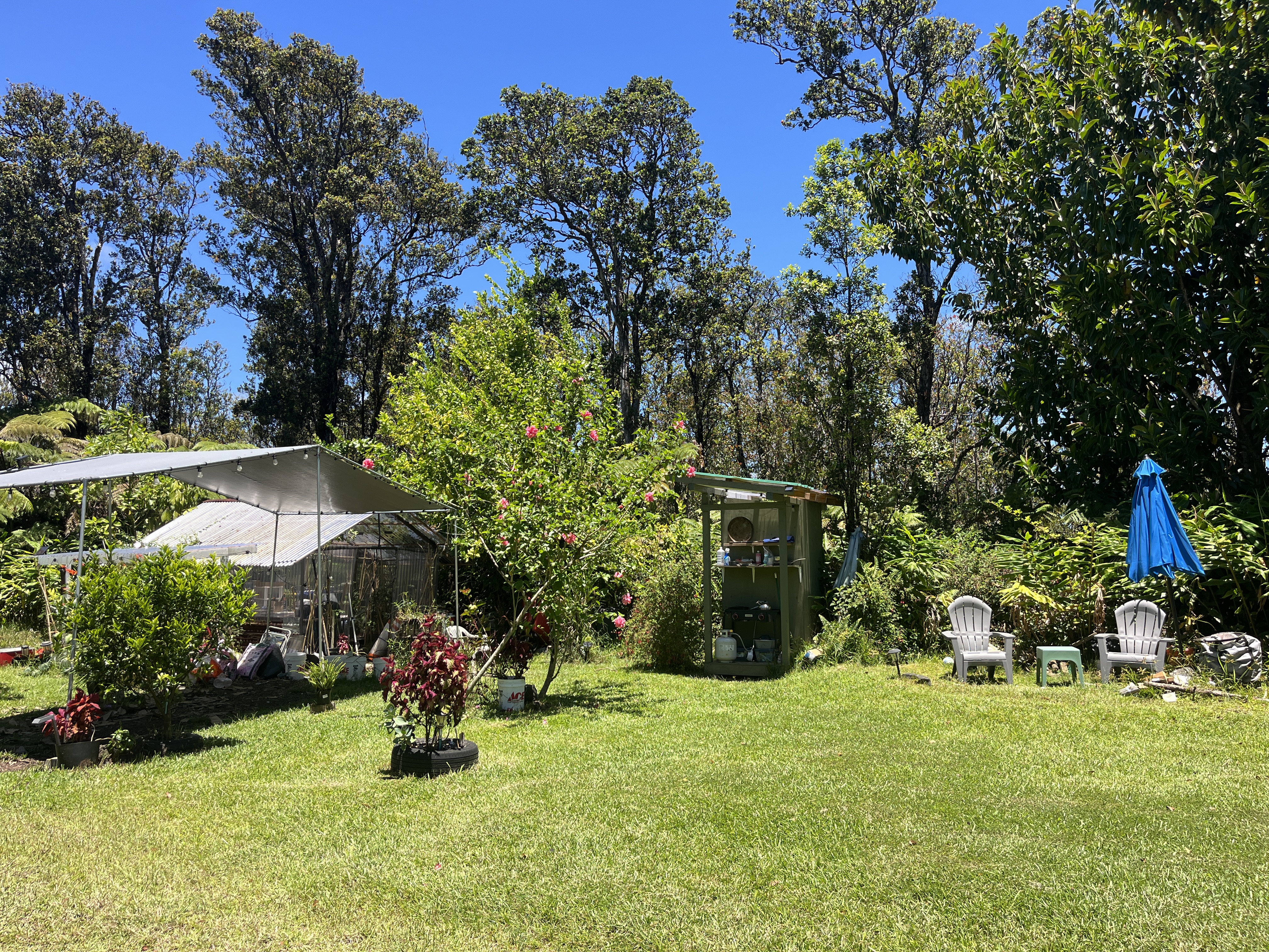 11-2729 Uakoko Road Mountain View, HI 96771 - Photo 16 of 26 a view of yard with green space