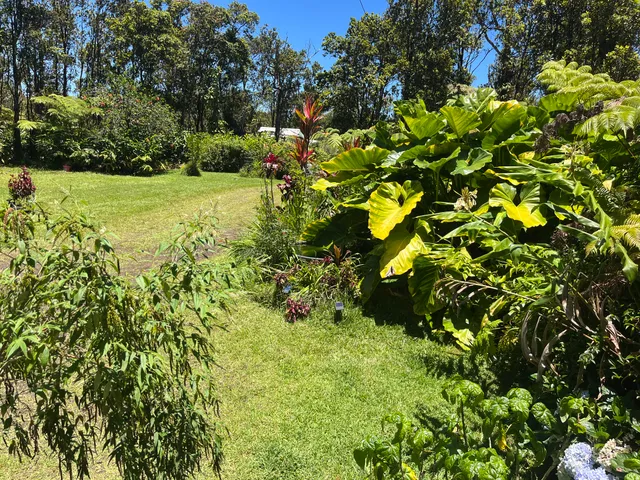 a backyard of a house with lots of green space