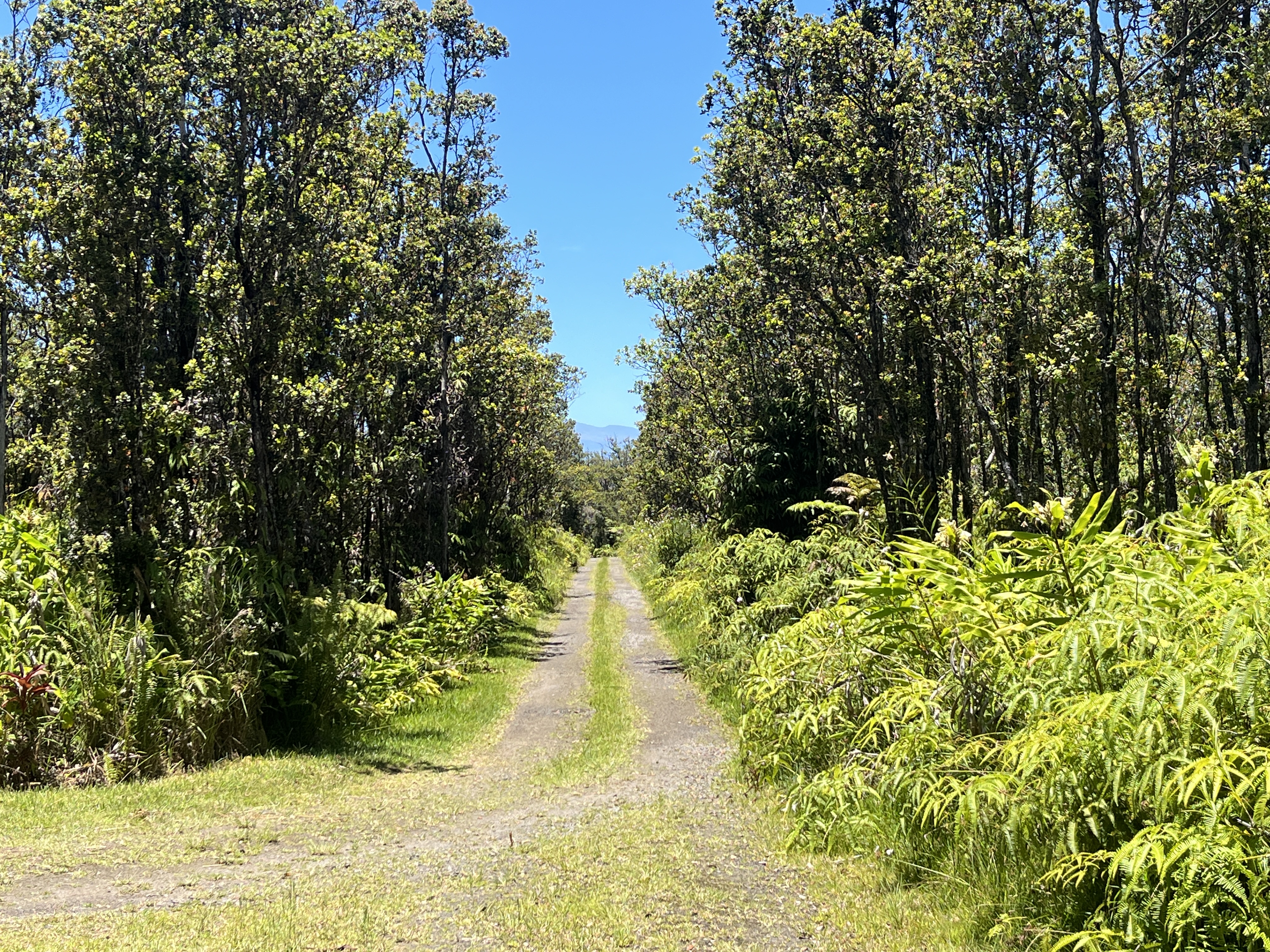 11-2729 Uakoko Road Mountain View, HI 96771 - Photo 24 of 26 a view of a garden