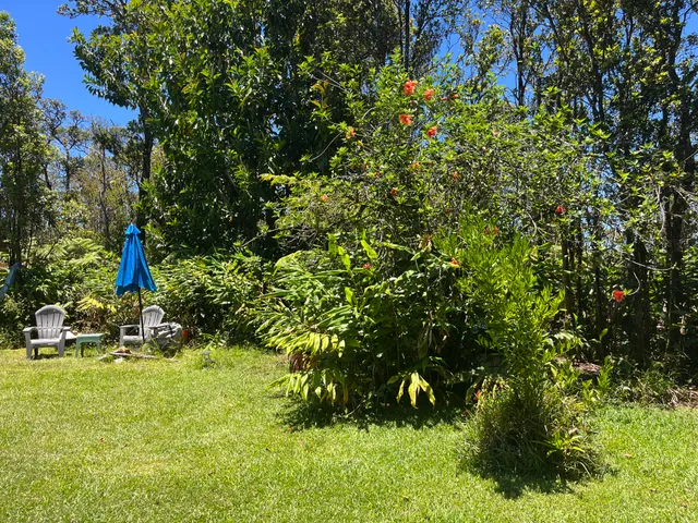 a backyard of a house with lots of green space and fountain