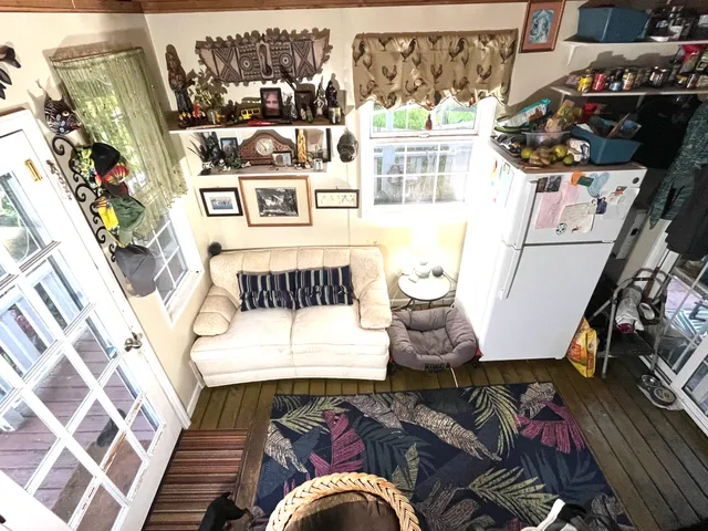 a living room with a couch and a potted plant