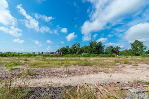 a view of a big yard with plants and flowers