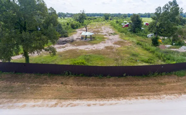 a view of a big yard with plants and large trees