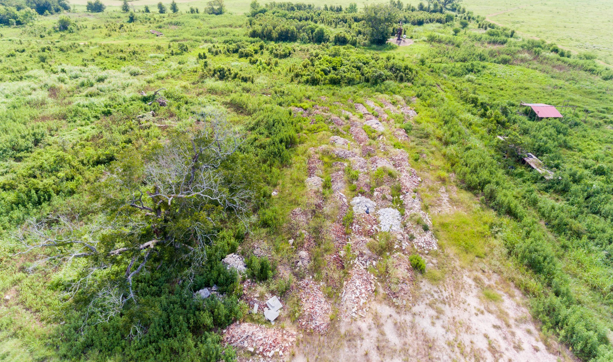 1353 Seidel Road Brookshire, TX 77423 - Photo 32 of 35 The photo shows a large, open plot of land with dense greenery and some scattered trees. There are visible rows of debris or rubble, and a small structure with a red roof on the right side. Ideal for buyers looking for a rural or undeveloped property.