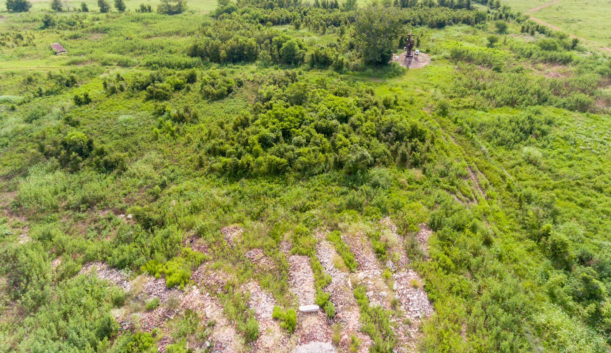 1353 Seidel Road Brookshire, TX 77423 - Photo 33 of 35 a view of a big yard with plants and large trees