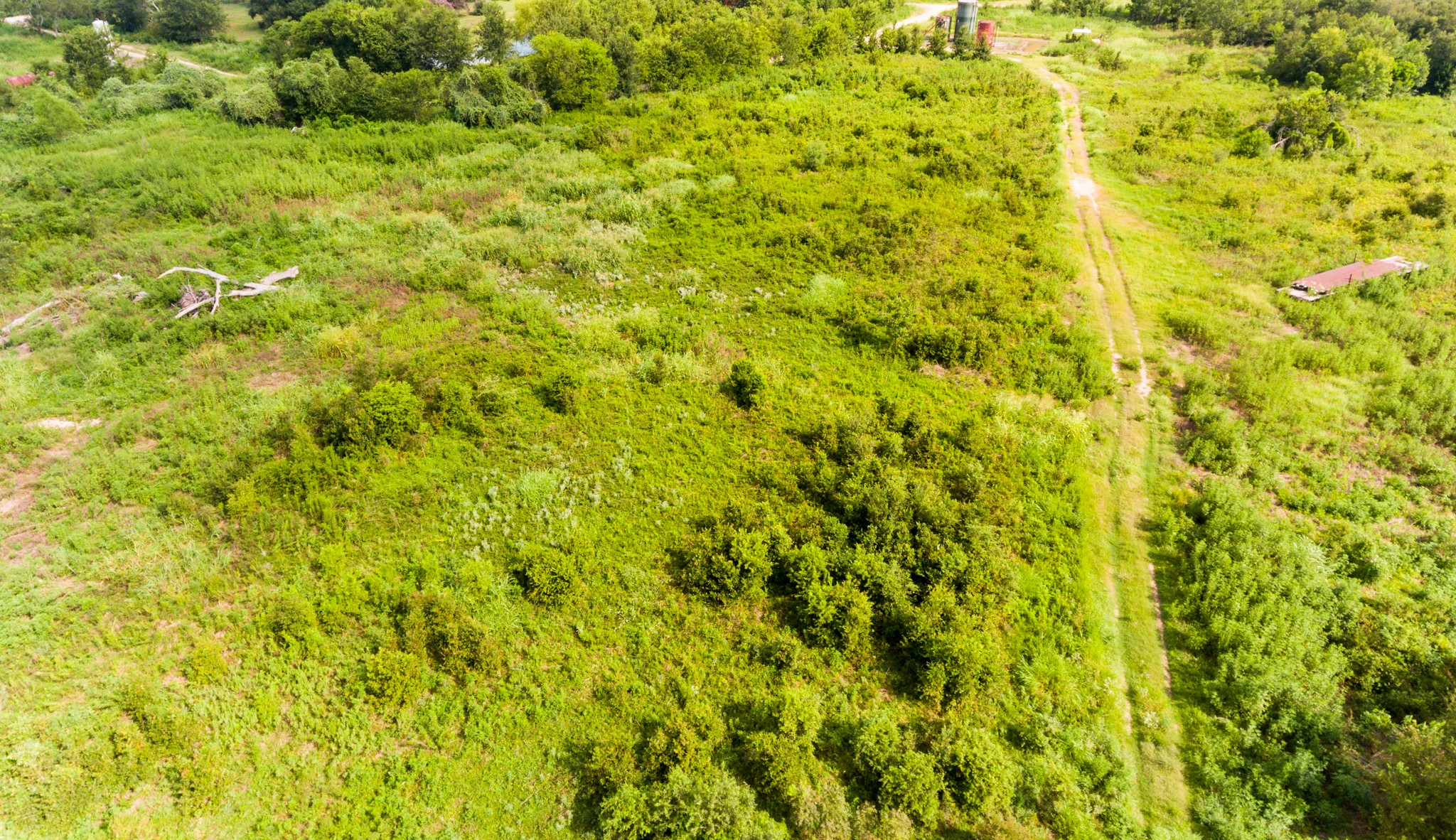 1353 Seidel Road Brookshire, TX 77423 - Photo 34 of 35 This photo showcases a large, open plot of land covered in greenery, with a dirt path running through it. Ideal for development, it offers a natural setting with plenty of space and potential for customization.