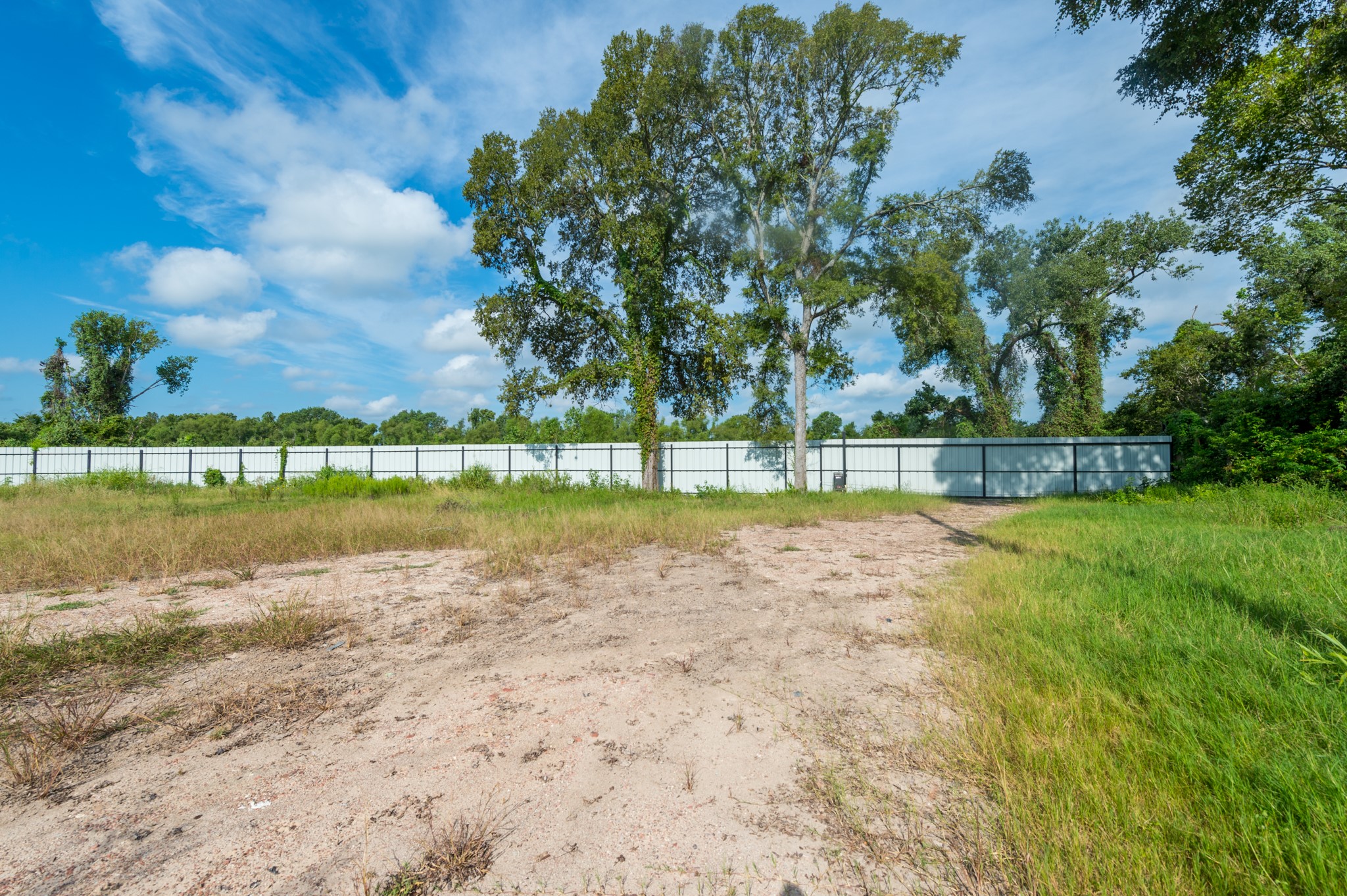 1353 Seidel Road Brookshire, TX 77423 - Photo 10 of 35 This photo shows a spacious, flat plot of land with a mix of grass and sandy soil, bordered by a tall white fence and surrounded by lush trees, perfect for building a private home.