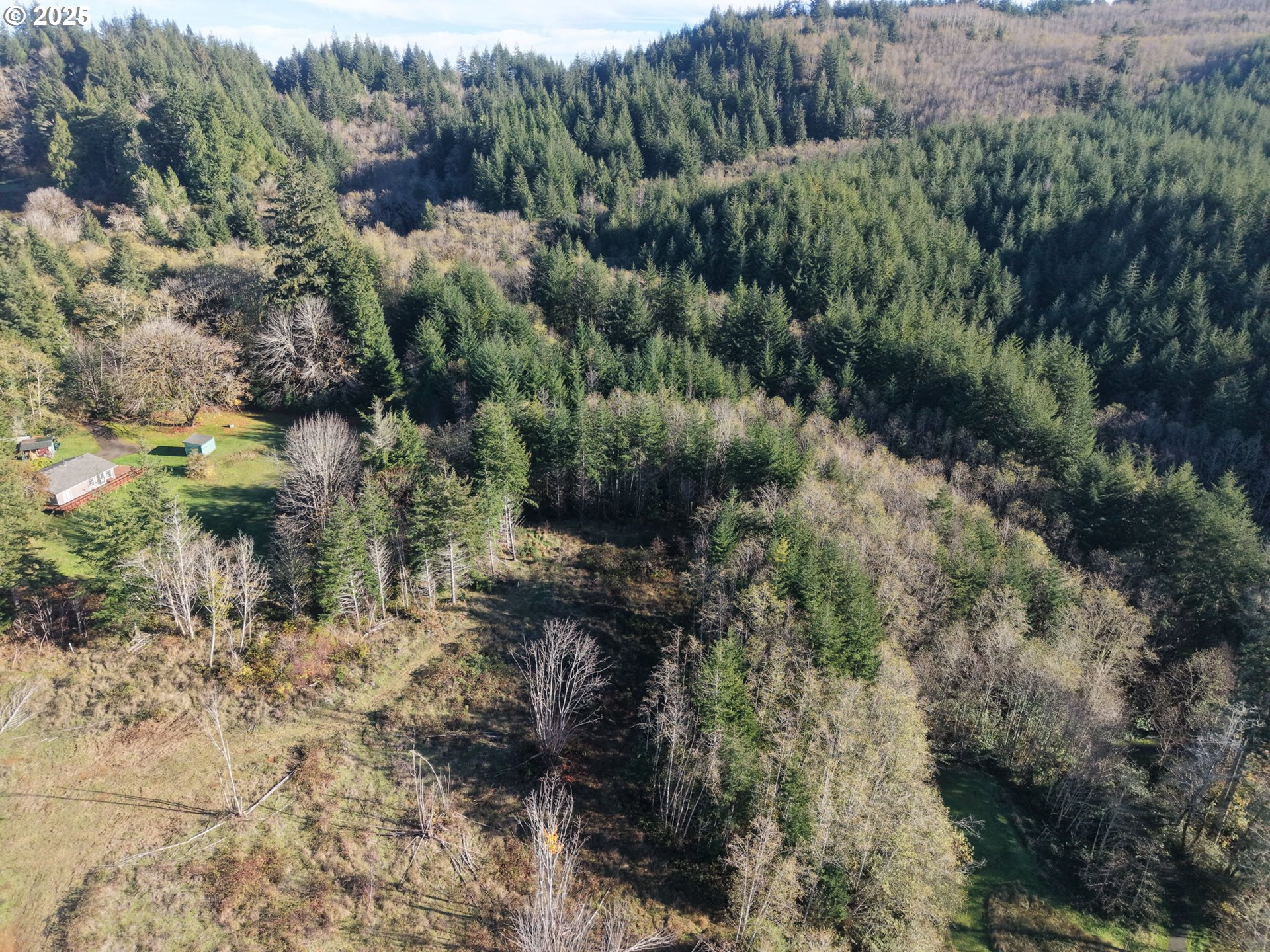 18 Pierson Road, Unit 1420 Coos Bay, OR 97420 - Photo 3 of 5 a view of a yard with plants and large trees