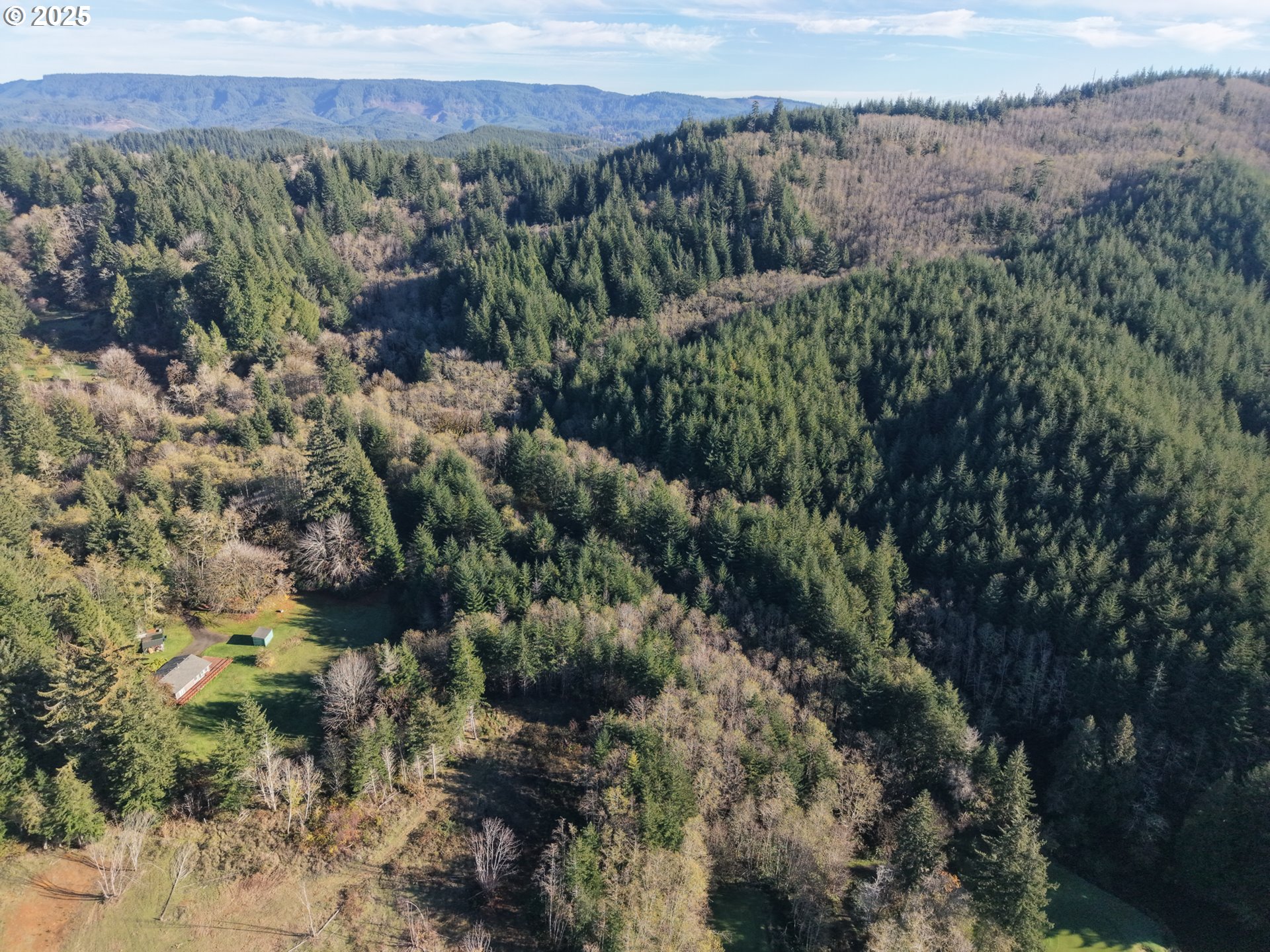 18 Pierson Road, Unit 1420 Coos Bay, OR 97420 - Photo 4 of 5 a view of a forest with a street