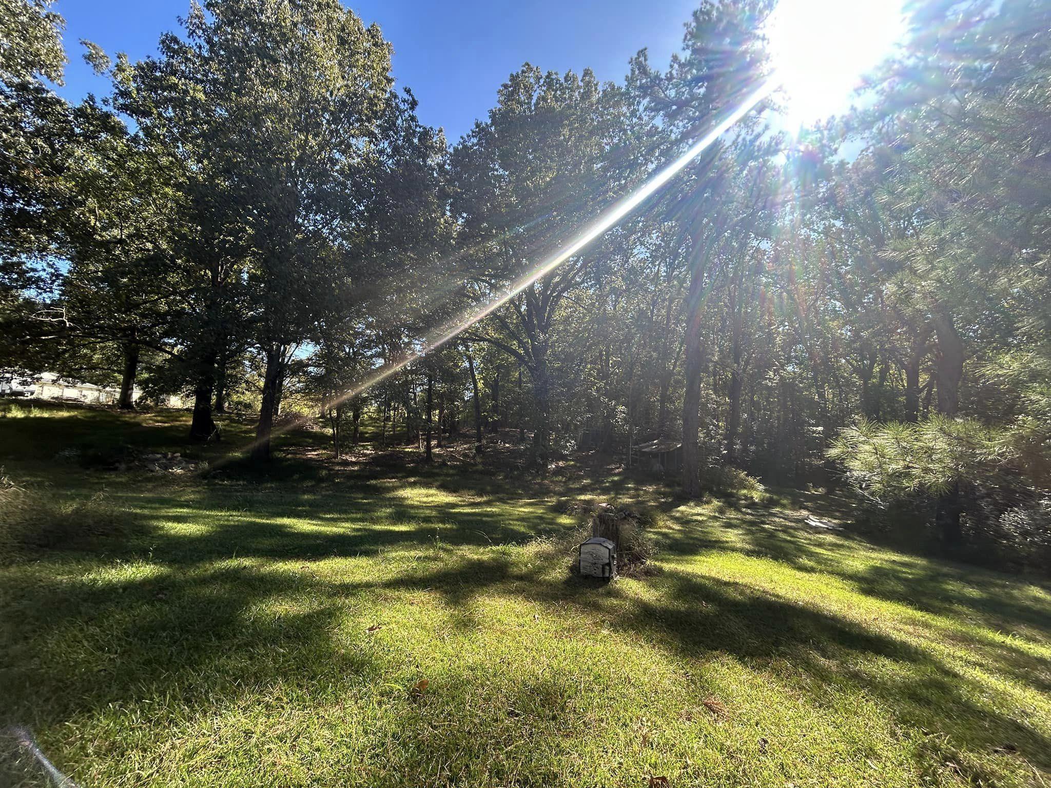 11361 Macon Road Eads, TN 38028 - Photo 3 of 14 a view of swimming pool from a lake view