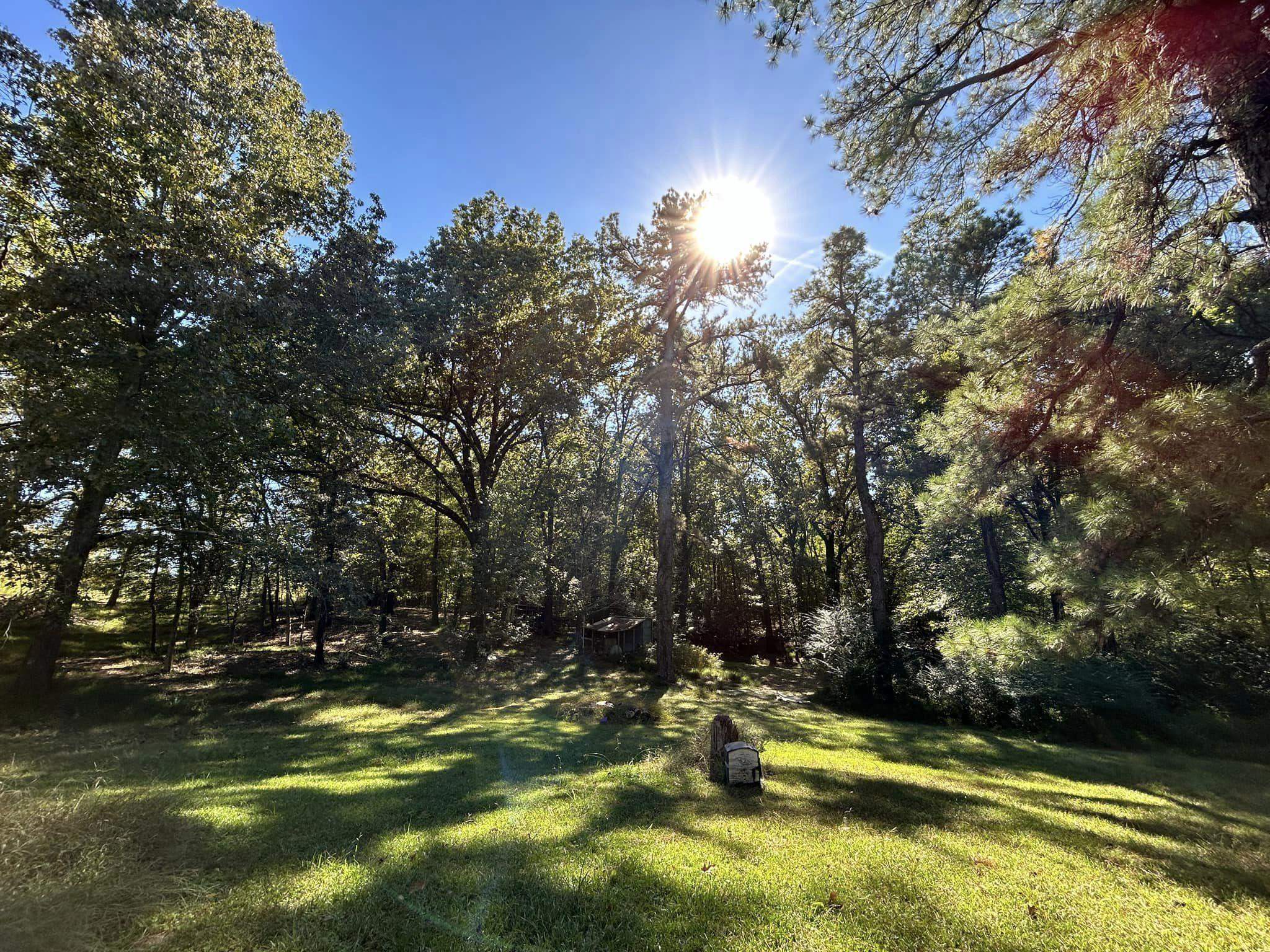 11361 Macon Road Eads, TN 38028 - Photo 5 of 14 a view of a lake with houses