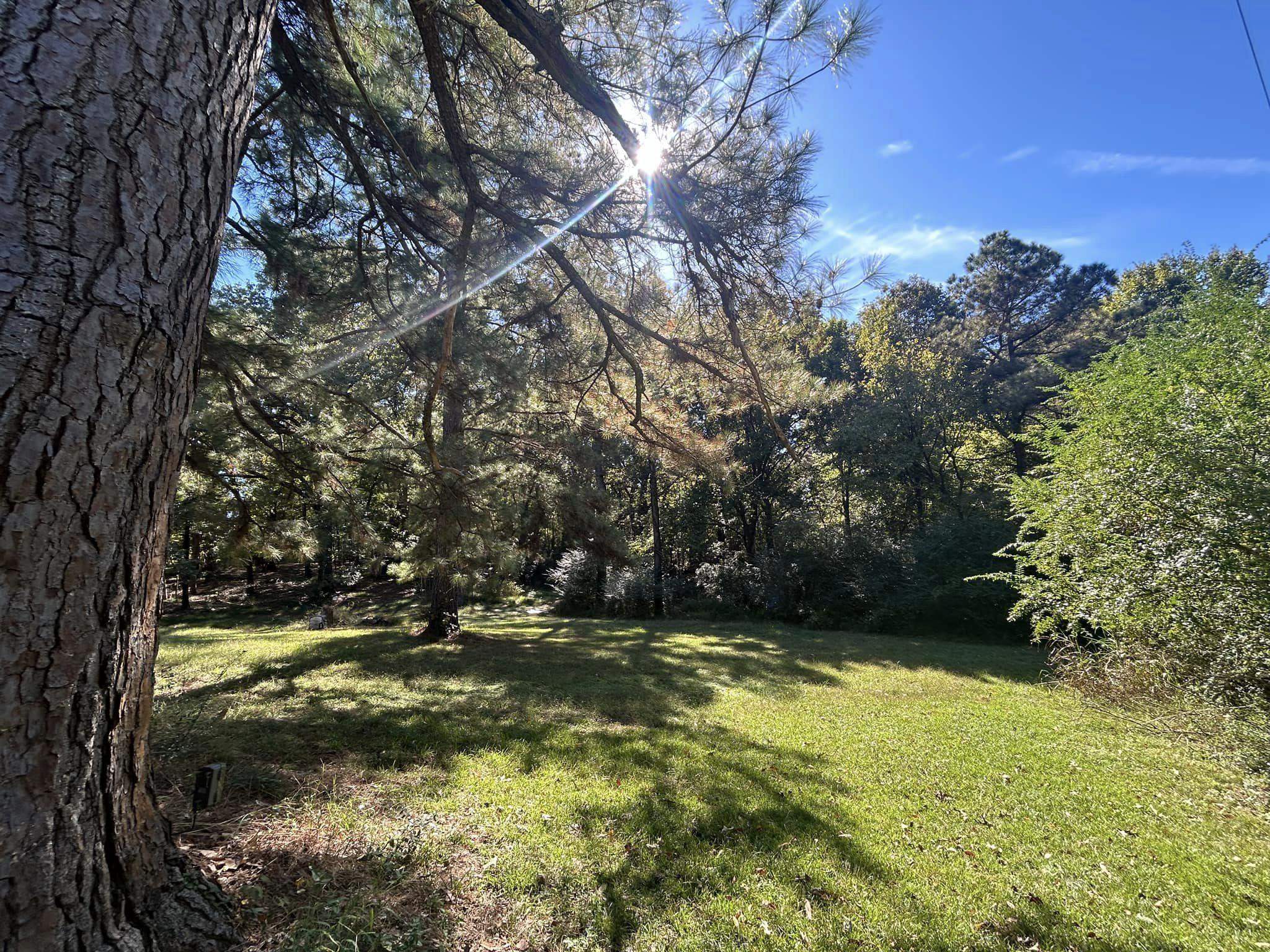 11361 Macon Road Eads, TN 38028 - Photo 6 of 14 a view of outdoor space with swimming pool