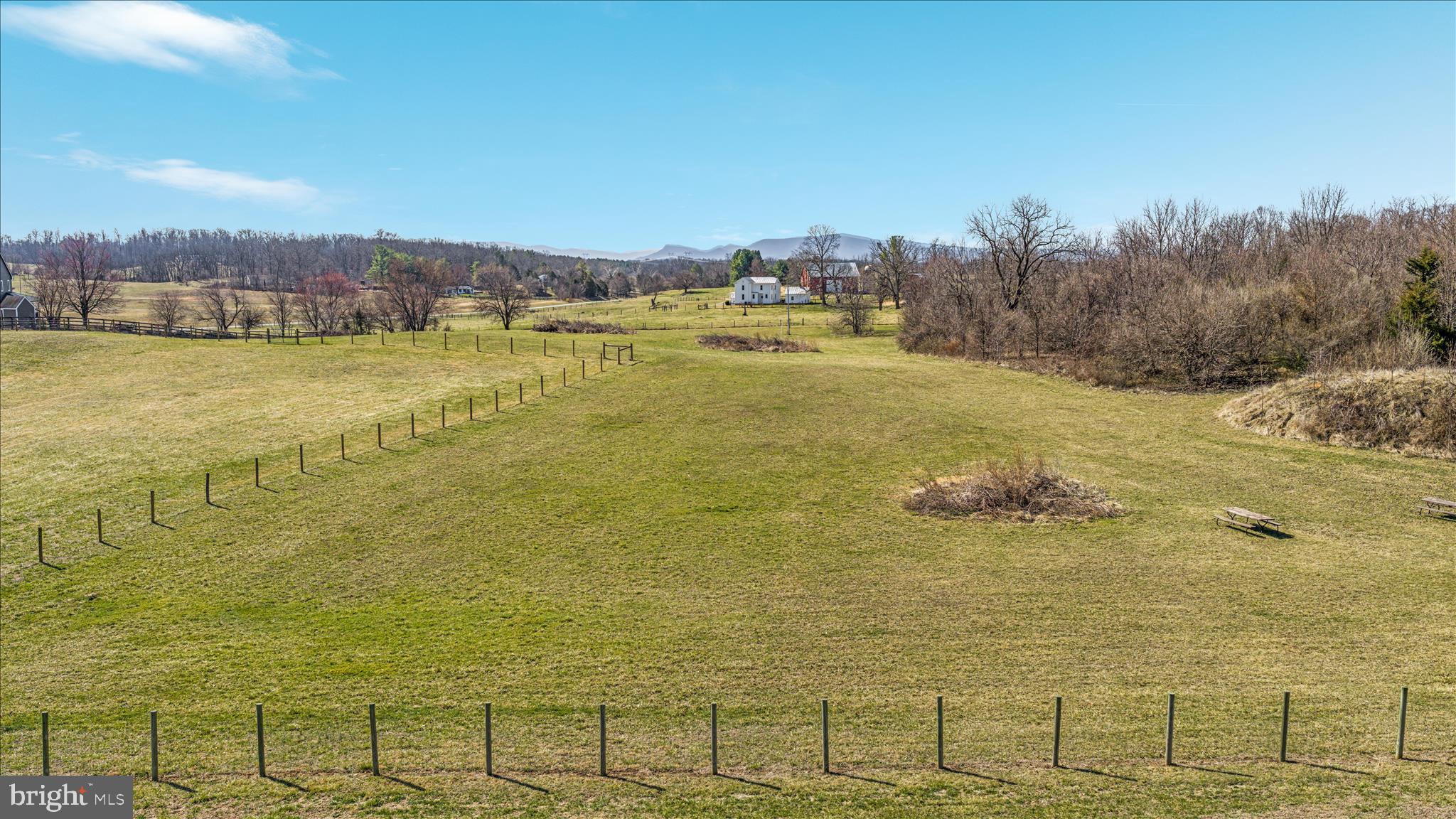 199 Laurel Grove Road Winchester, VA 22602 - Photo 66 of 97 Rear Pasture