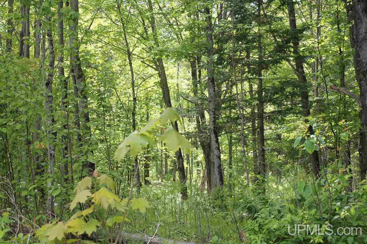 Tbd Off Kyllonen Road, Unit LAT 46 75685 LON 88 7526 Nisula, MI 49952 - Photo 1 of 24