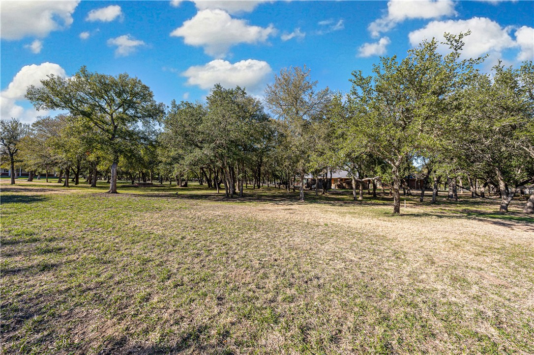 795 Winding Trail Crawford, TX 76638 - Photo 81 of 97