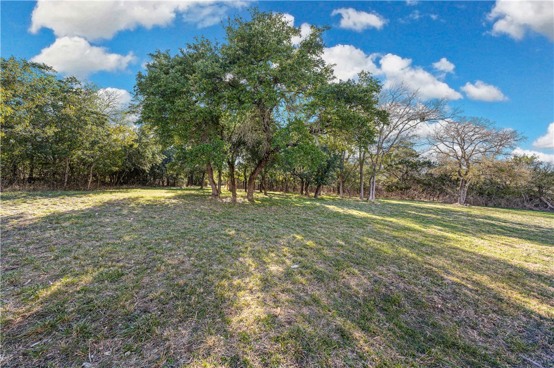 795 Winding Trail Crawford, TX 76638 - Photo 83 of 97