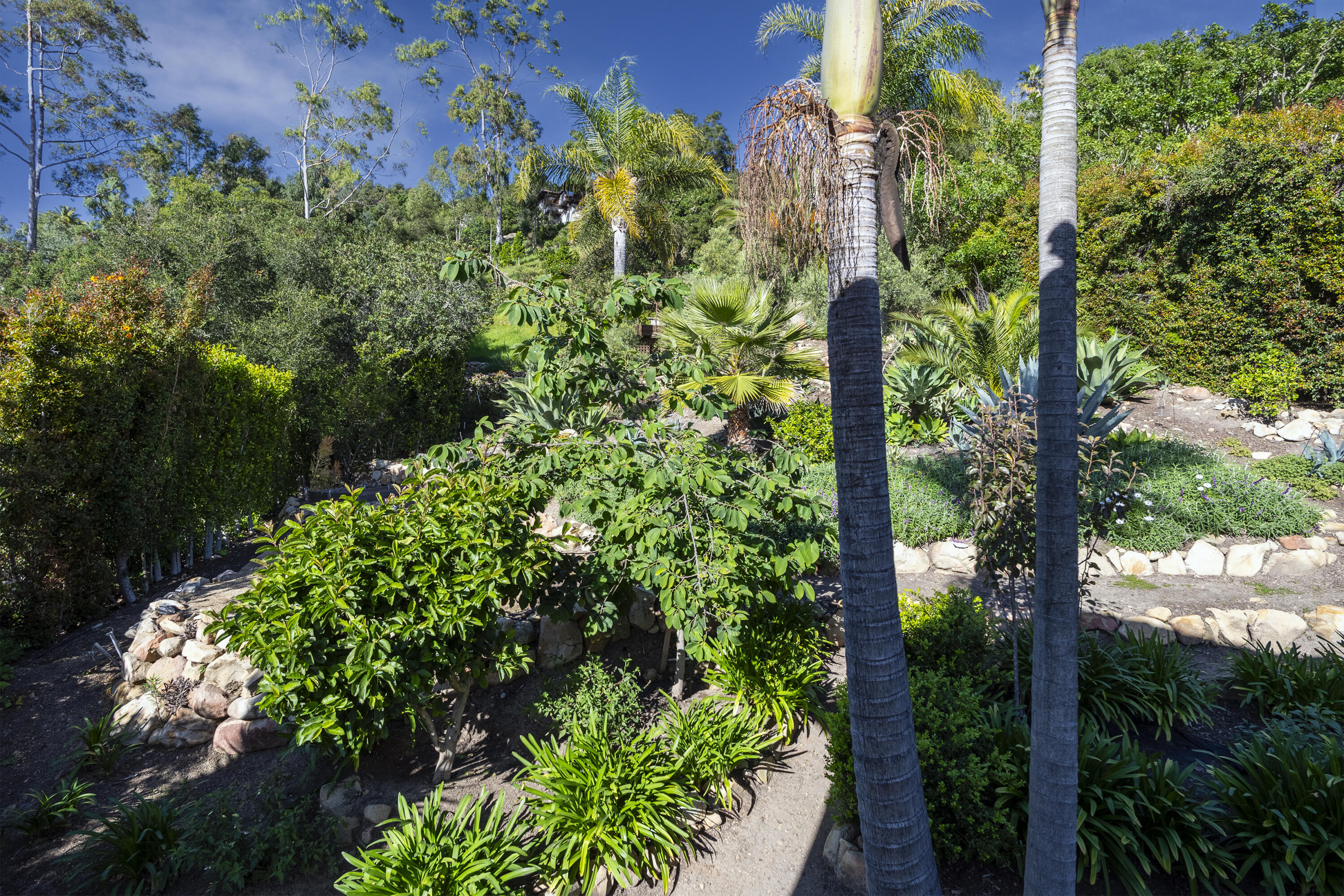 1720 Mission Ridge Road Santa Barbara, CA 93103 - Photo 14 of 24 Terraced Gardens