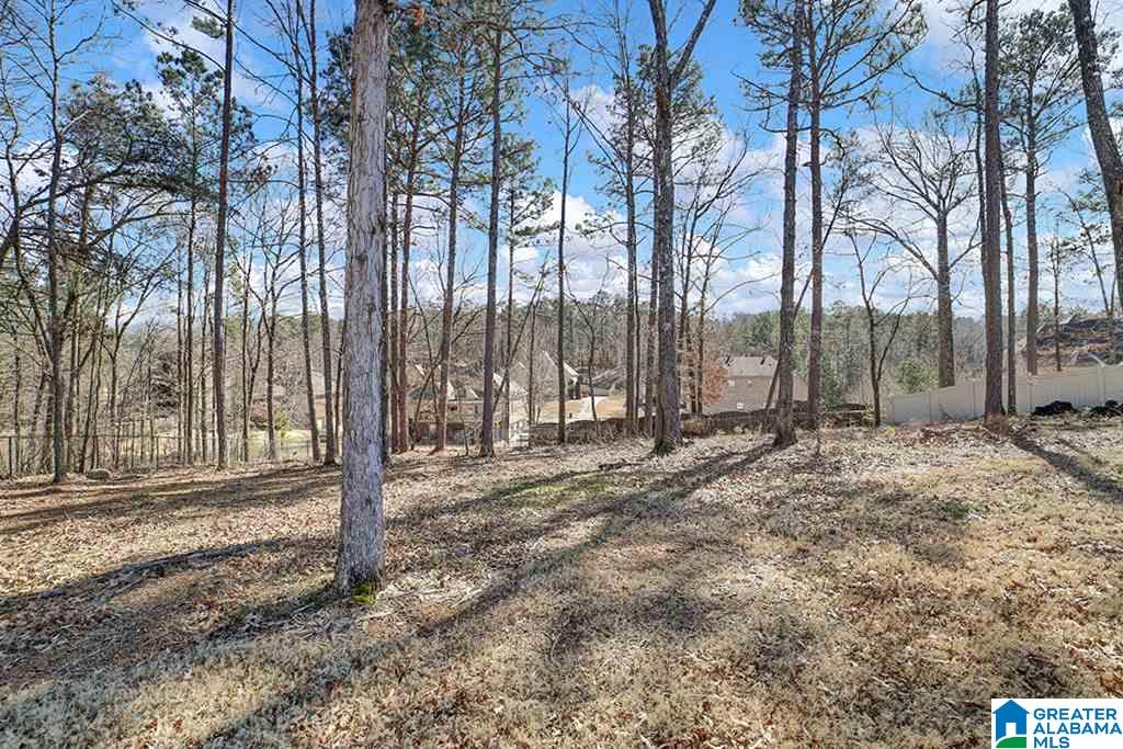 3646 Timber Way Helena, AL 35022 - Photo 42 of 46