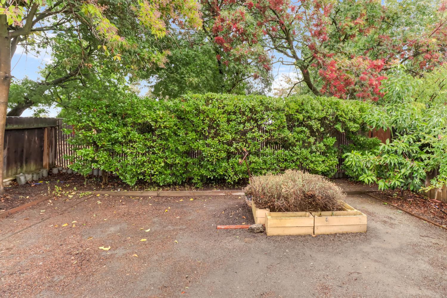 2317 East 8th Street Davis, CA 95618 - Photo 38 of 42