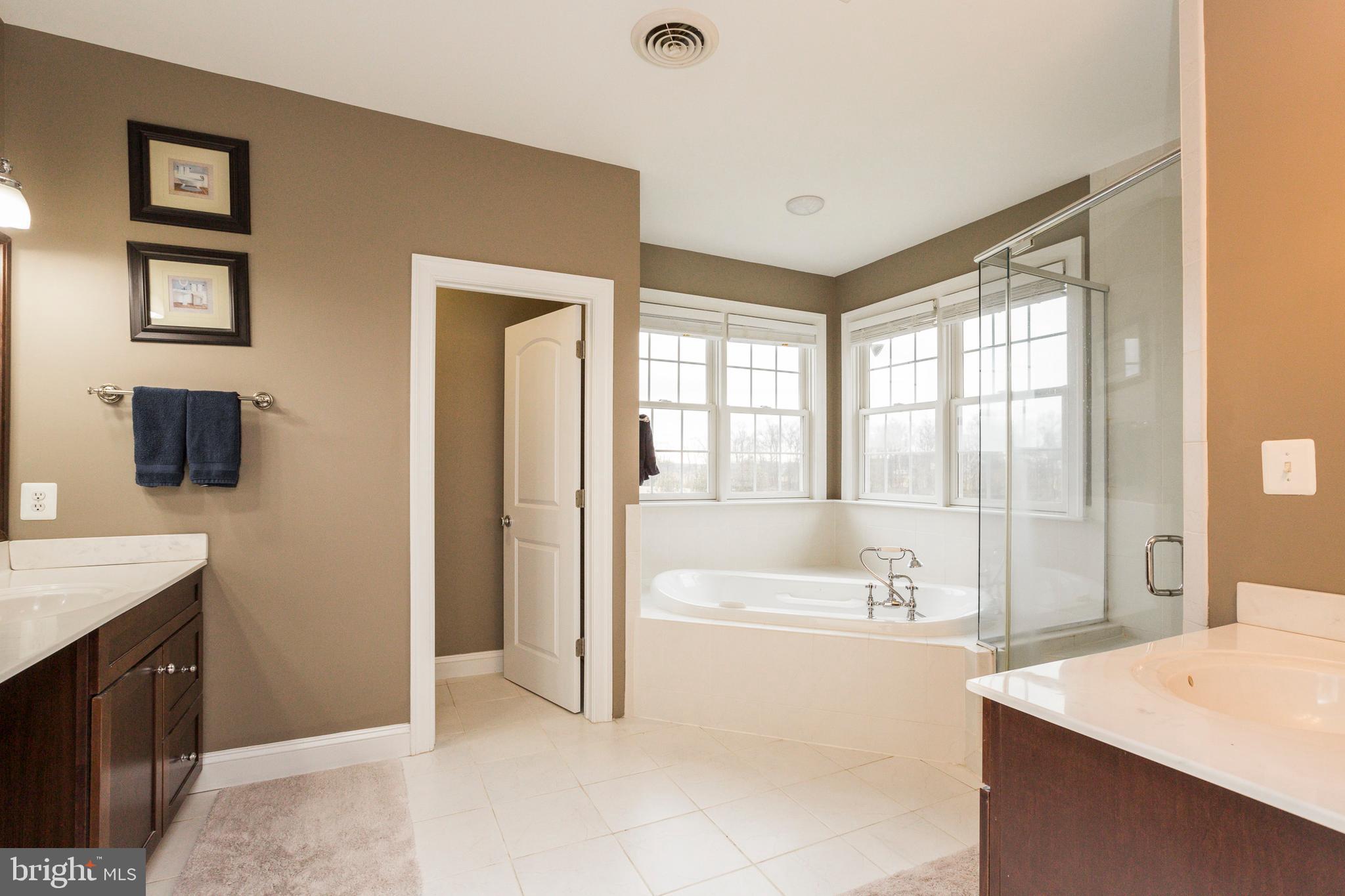 14431 Frederick Road Cooksville, MD 21723 - Photo 29 of 72 Luxury primary bath