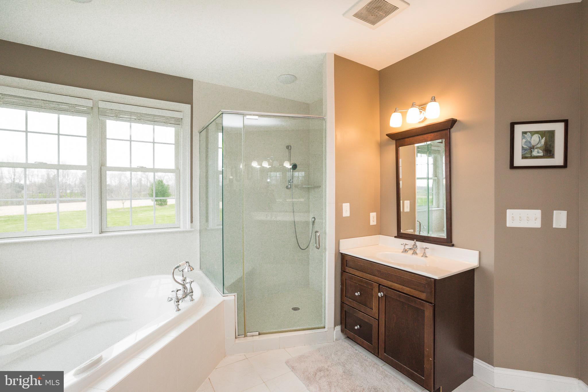 14431 Frederick Road Cooksville, MD 21723 - Photo 31 of 72 Air jetted tub