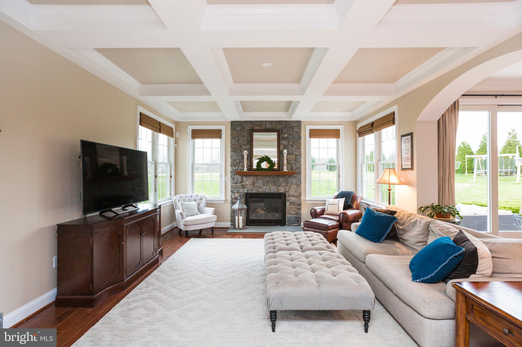14431 Frederick Road Cooksville, MD 21723 - Photo 8 of 72 Living room with tray ceiling and fireplace