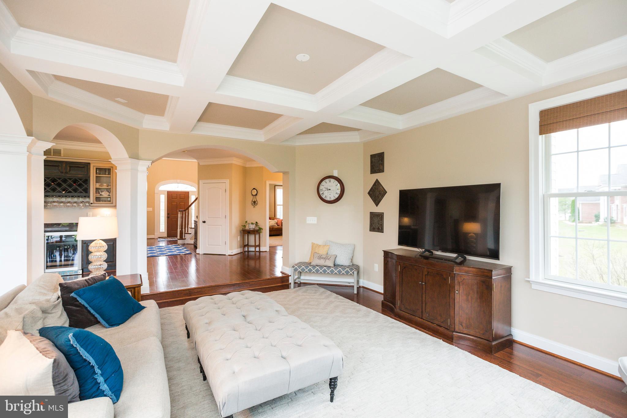 14431 Frederick Road Cooksville, MD 21723 - Photo 10 of 72 Living room with tray ceiling and fireplace