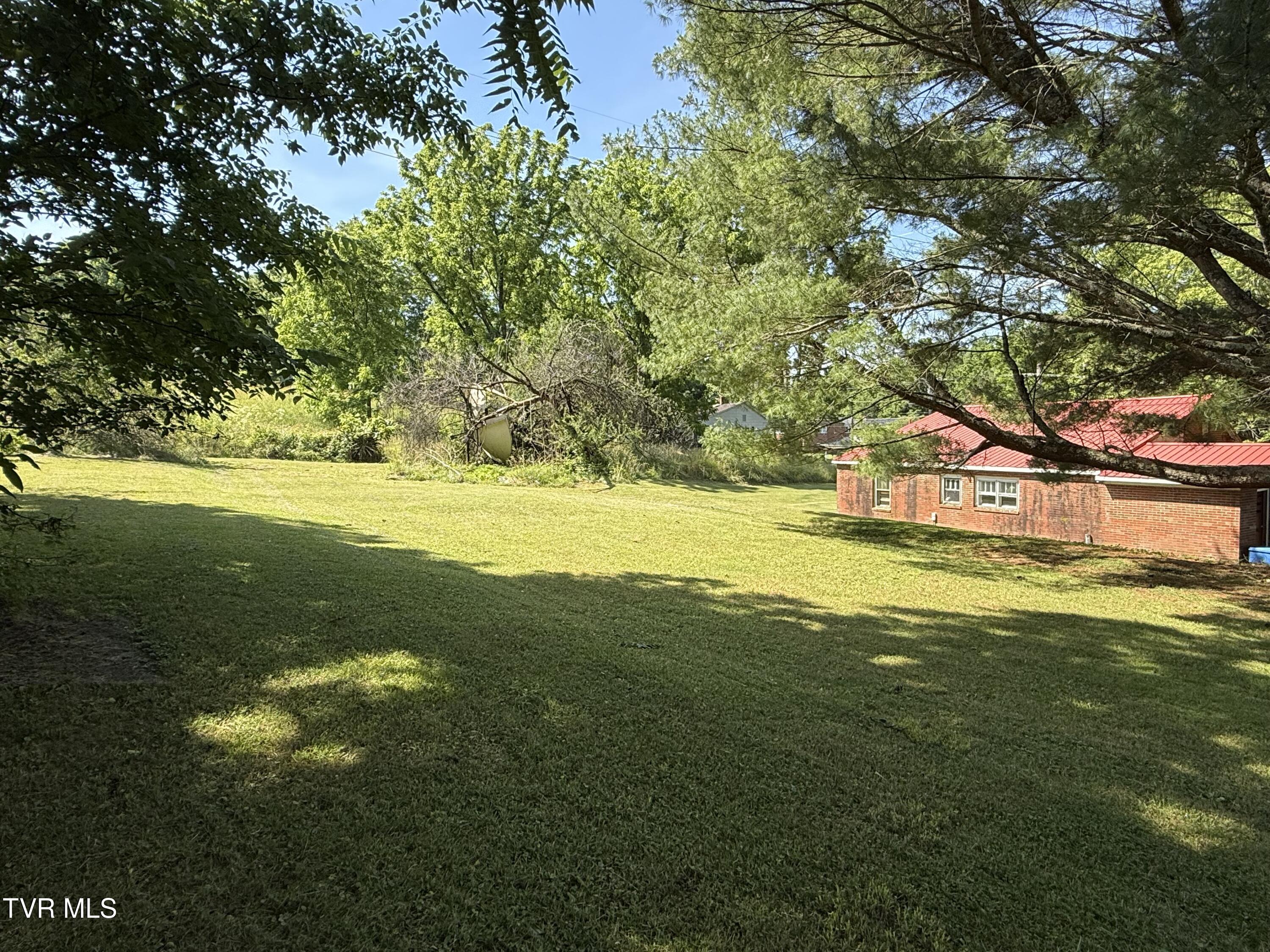 401 Spring Street Jonesborough, TN 37659 - Photo 25 of 31 IMG_0191