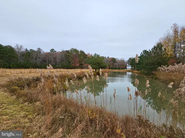 a view of lake with green space