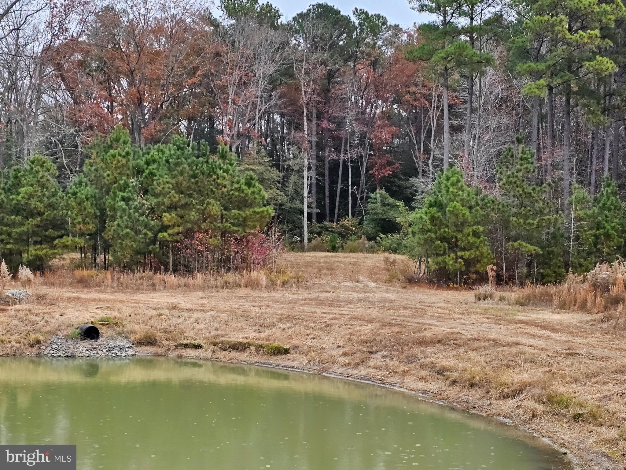 Lot 6 Mourning Dove Way Delmar, MD 21875 - Photo 44 of 54 a view of a lake view