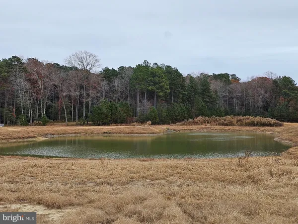 a view of a lake with houses in the background