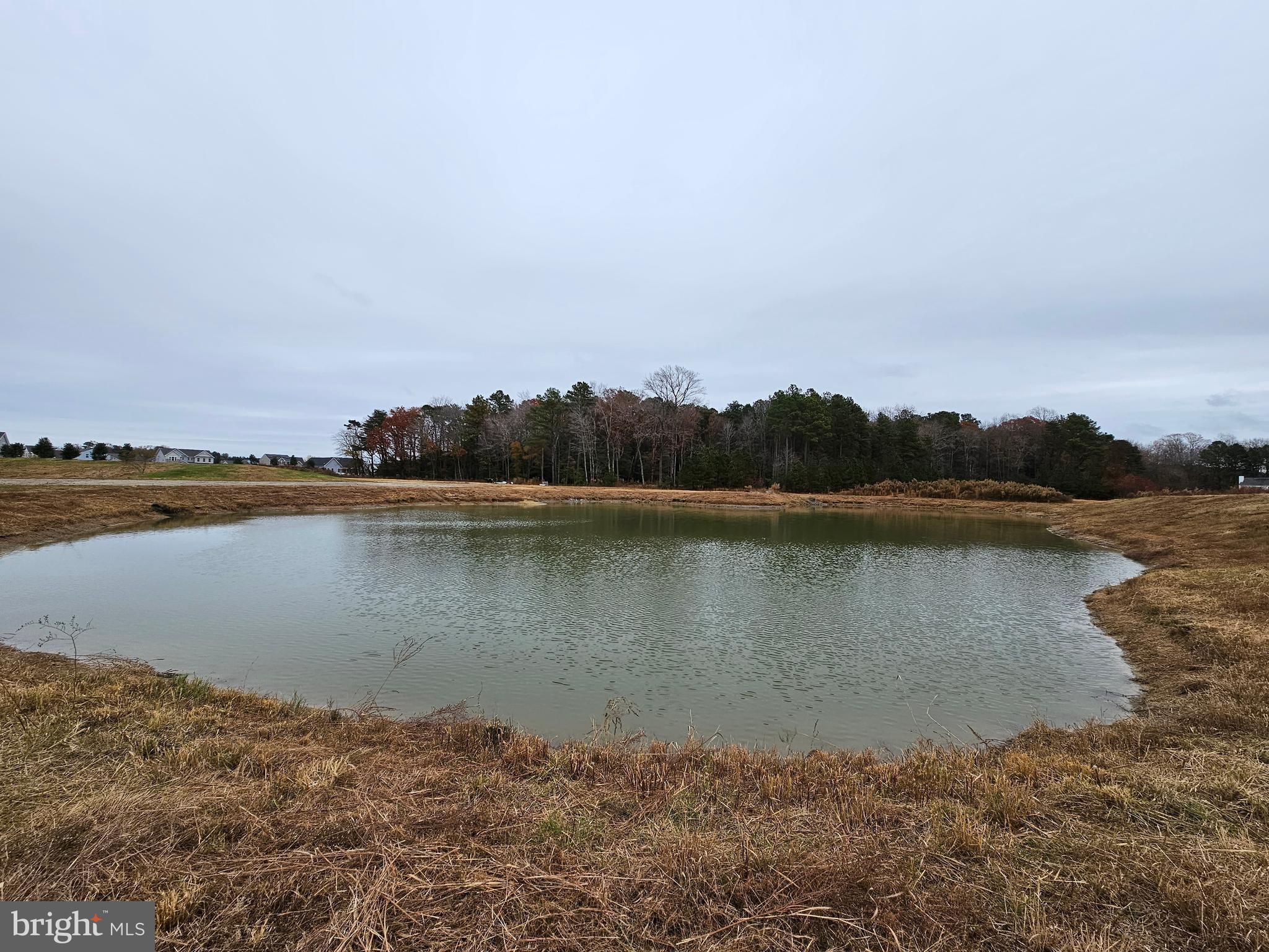 Lot 6 Mourning Dove Way Delmar, MD 21875 - Photo 47 of 54 a view of a lake with a city