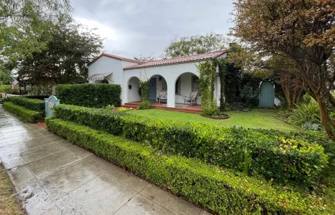a view of a yard with plants and large trees