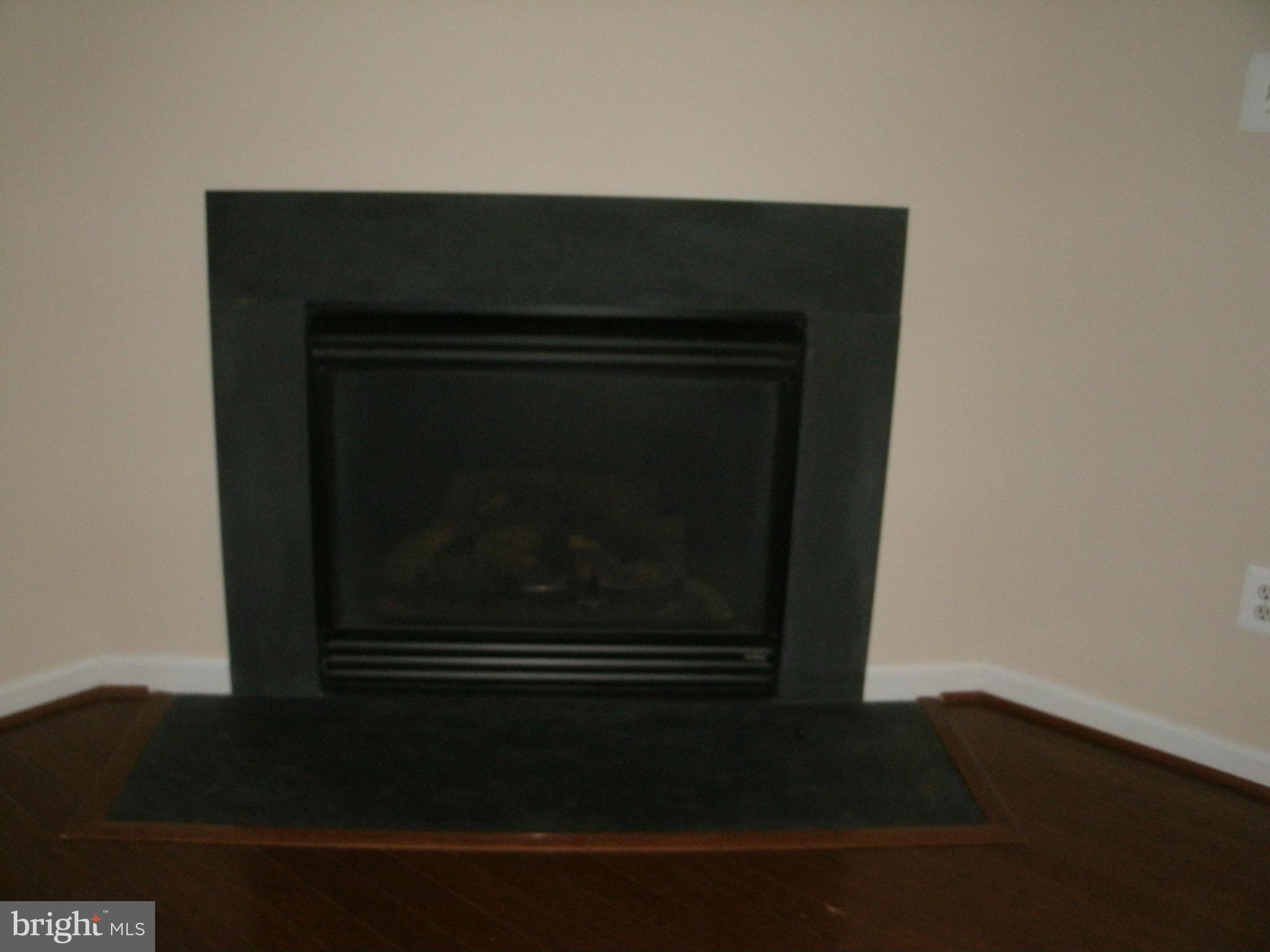 4603 Riddle Drive Baltimore, MD 21236 - Photo 12 of 30 Fire Place