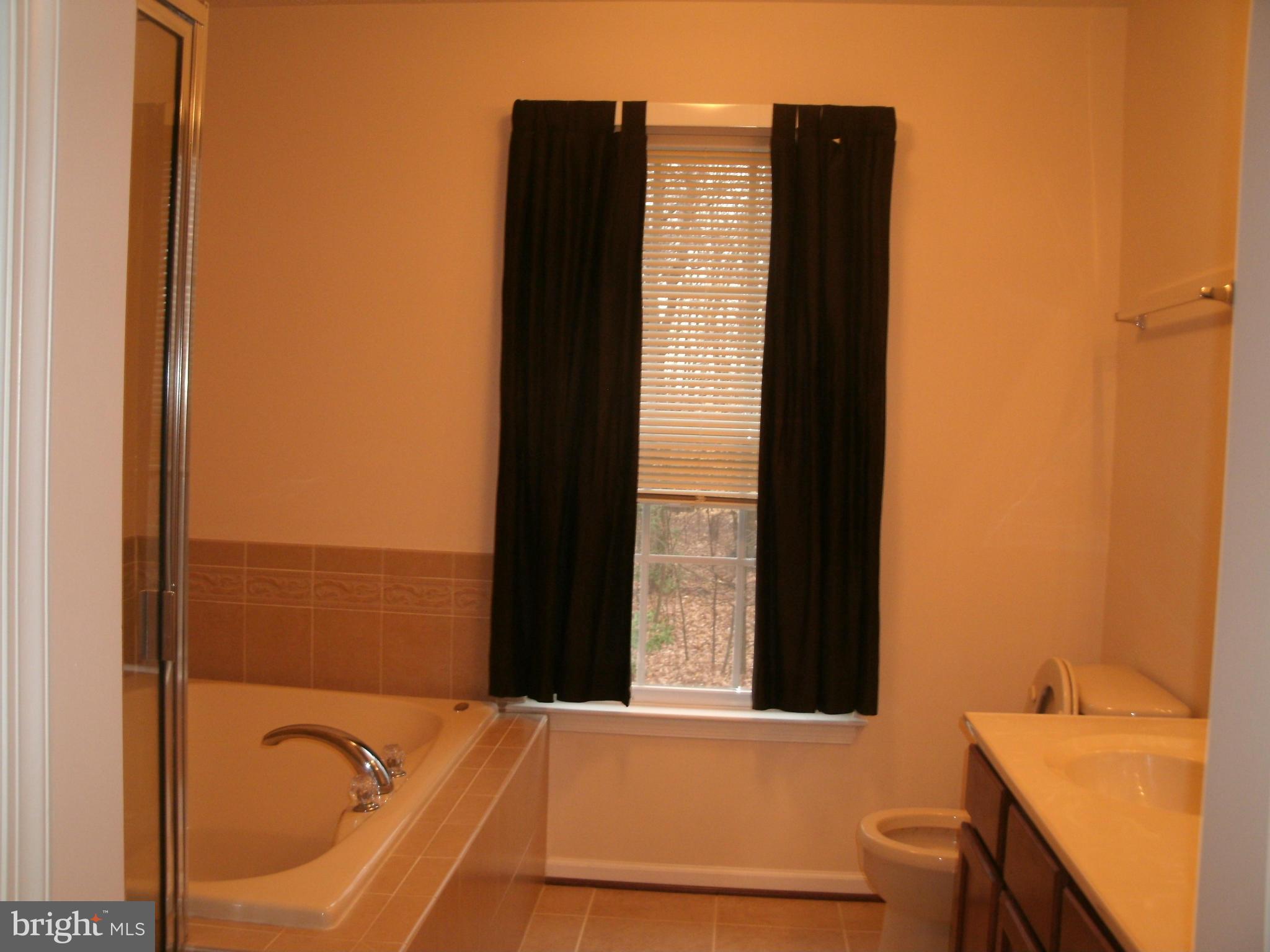 4603 Riddle Drive Baltimore, MD 21236 - Photo 22 of 30 Bath (Master)