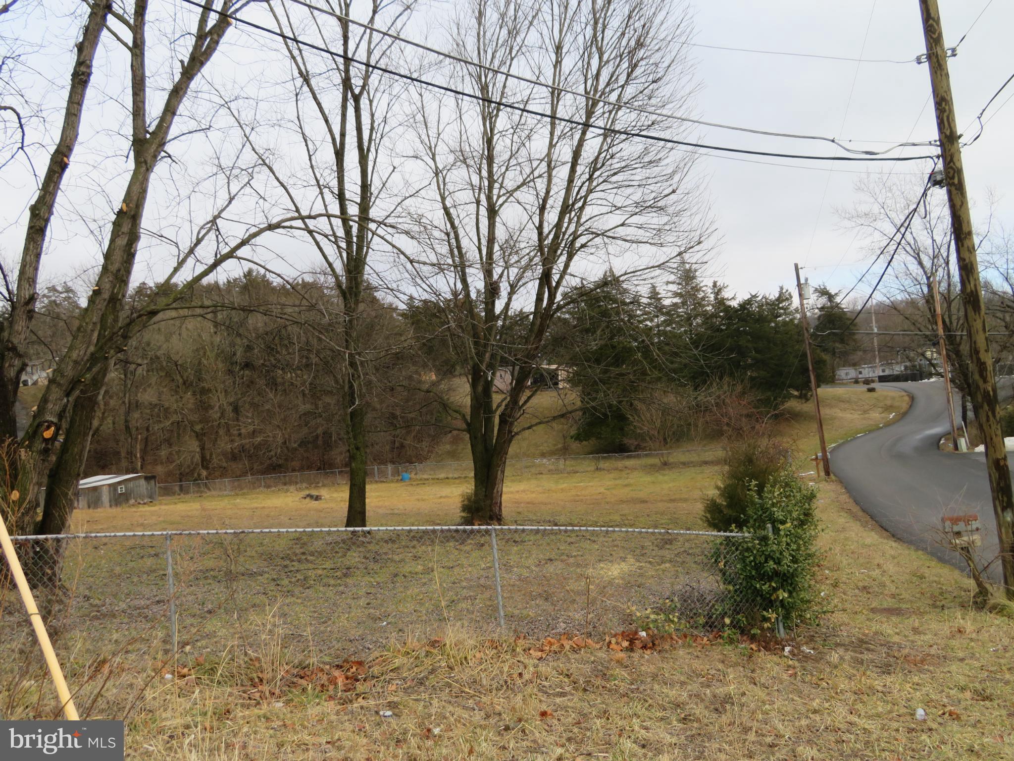 269 Crawford Quarry Road Falling Waters, WV 25419 - Photo 11 of 19 a view of a yard with trees